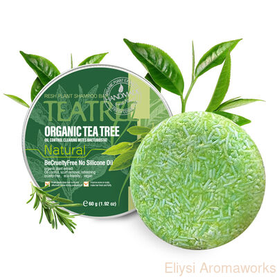 Giá tốt. Nhãn hiệu riêng Shampoo Sabon Bar Tea Tree Oil Control Sabon Compact trực tuyến